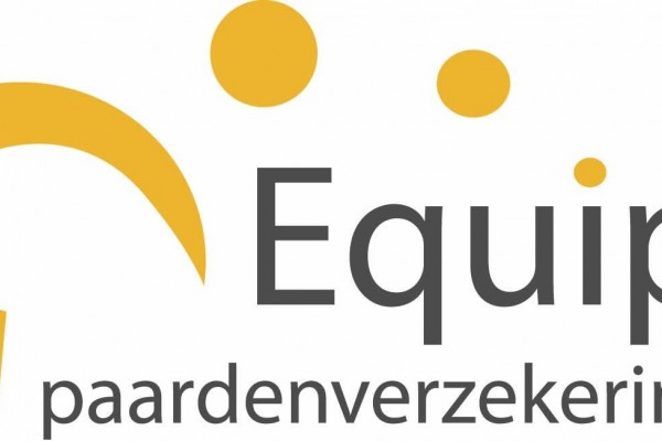 Insurance by Equipe